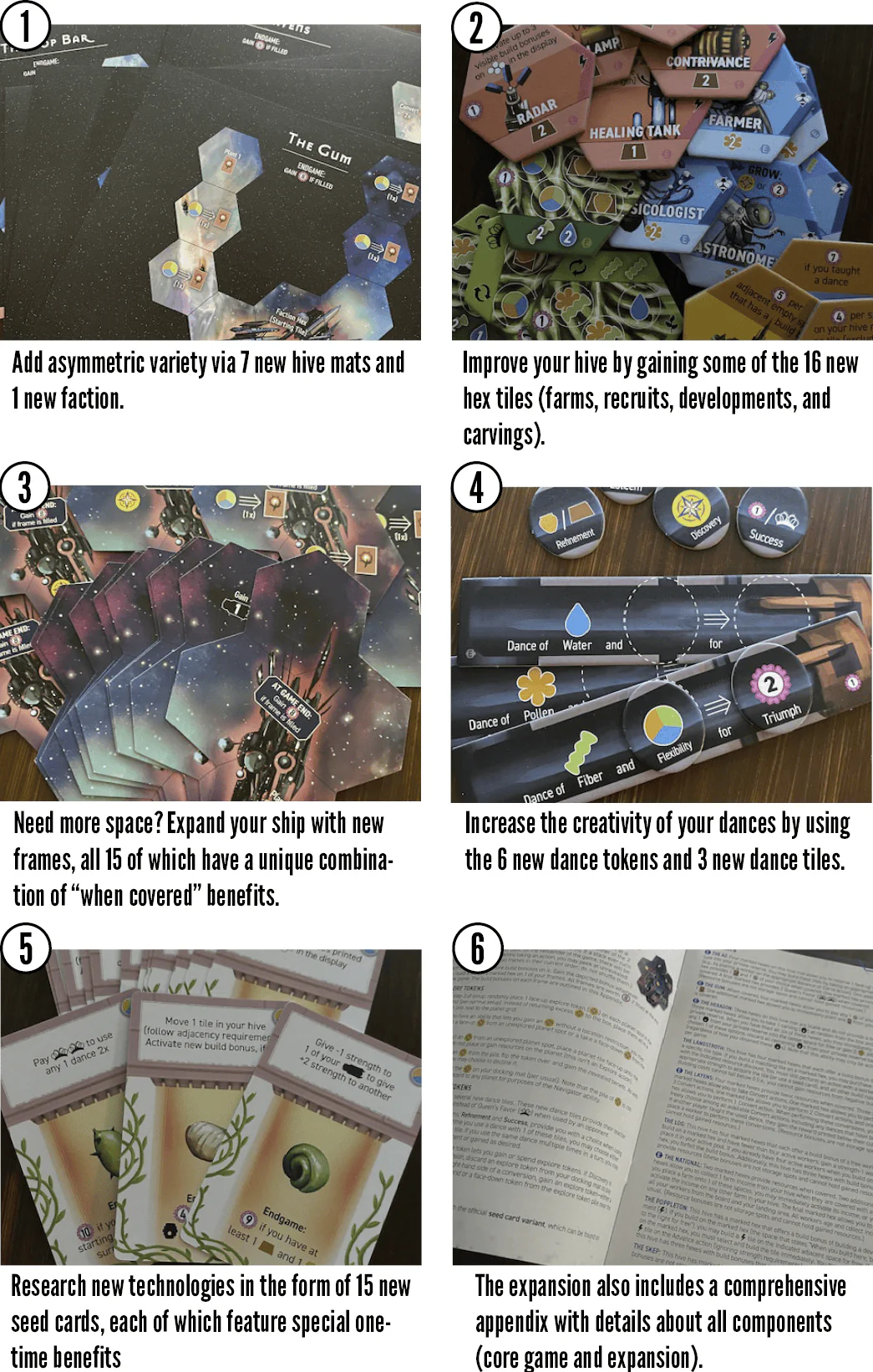 Apiary: Expanding the Hive - Image 3