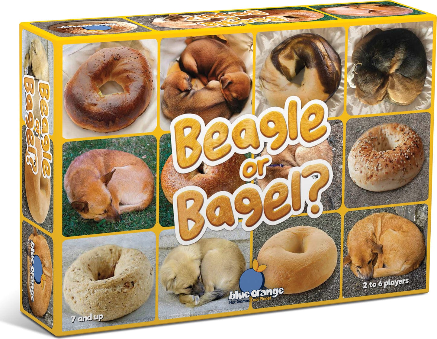 Beagle or Bagel? - Image 3
