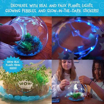 Wow in the World: Light-Up Terrarium - Image 6
