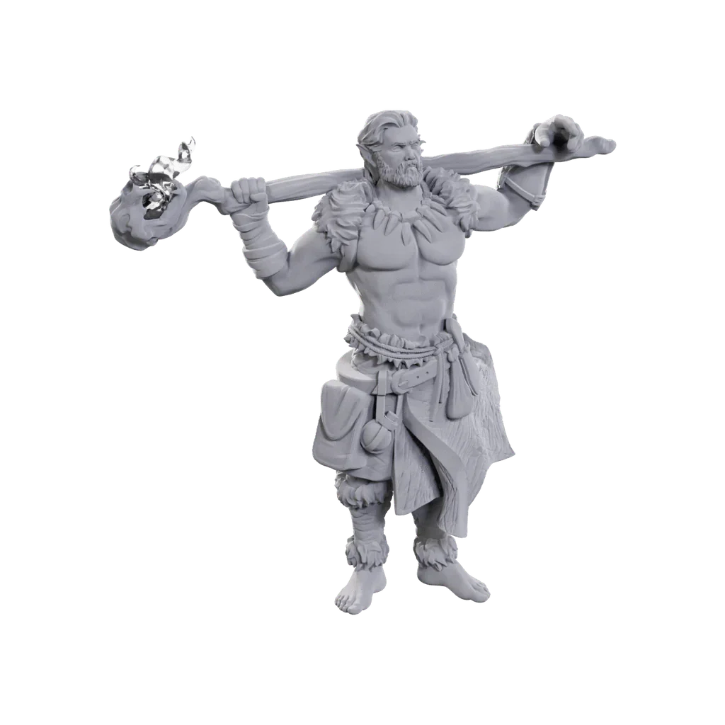 D&D Nolzur's Marvelous Miniatures: Archdruid & Martial Arts Adept