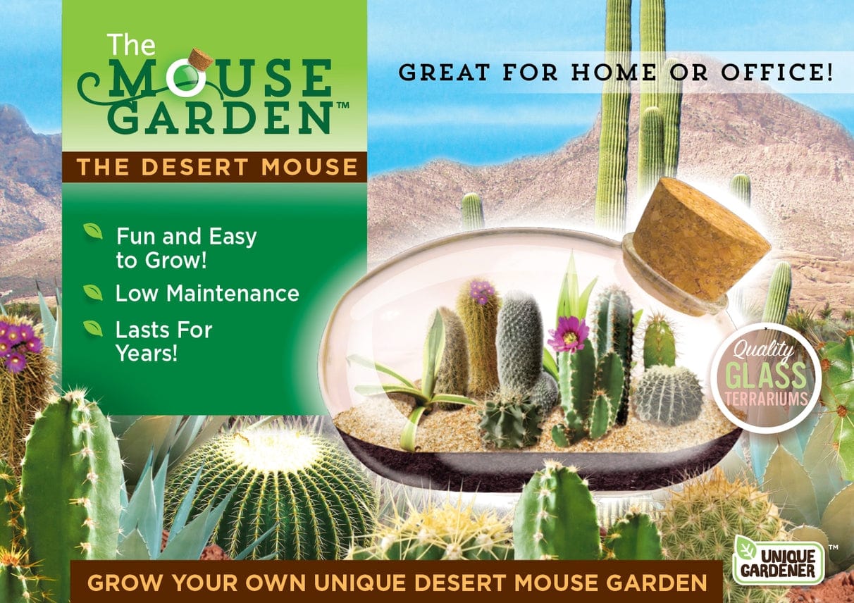 Desert Mouse Glass Terrarium