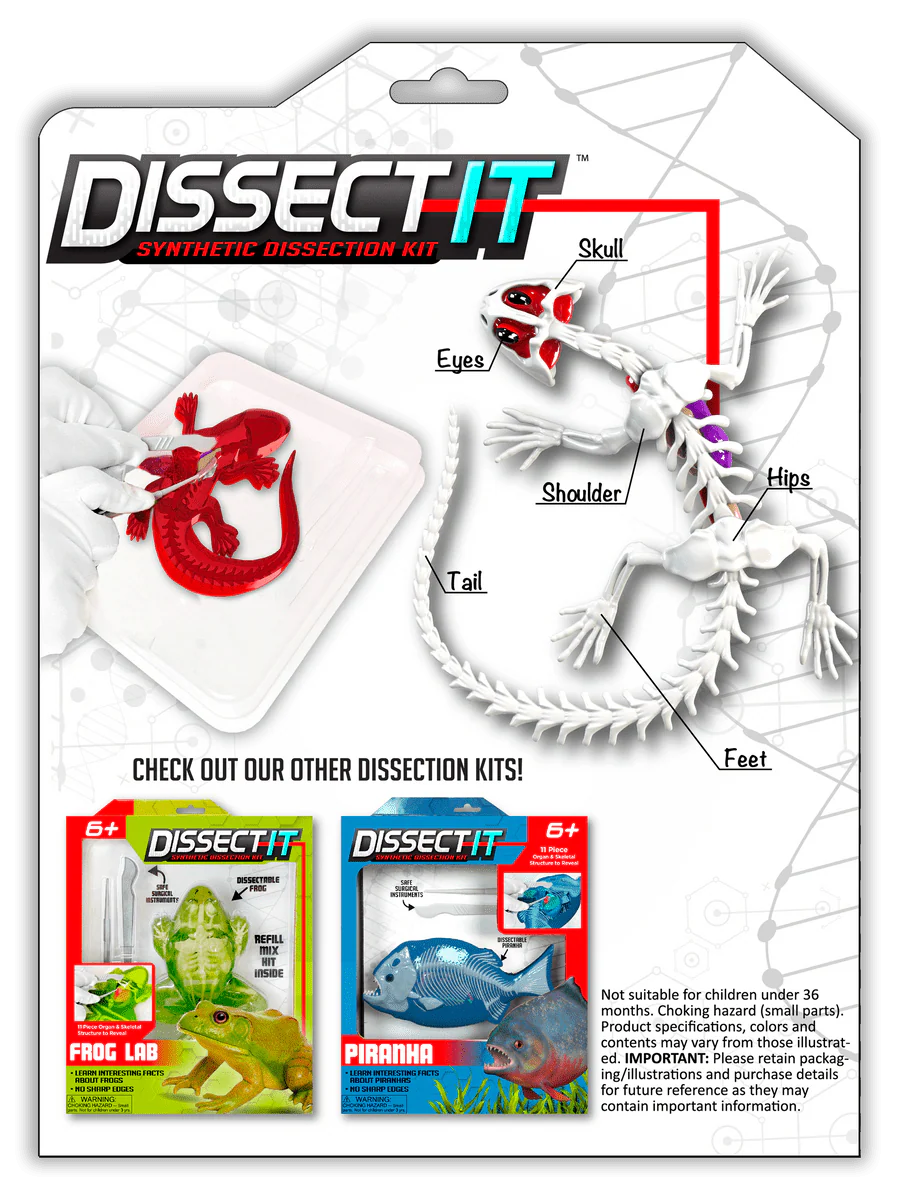 Dissect-It Salamander Lab - Image 2