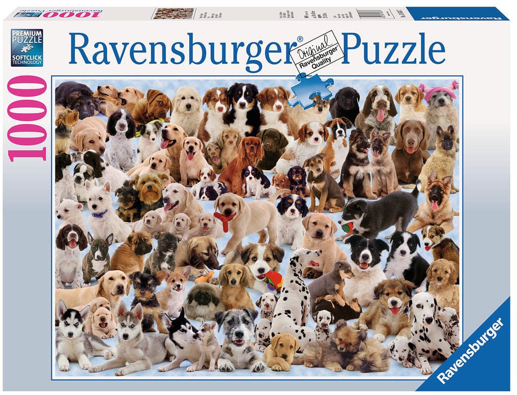 Dogs Galore! - Image 6
