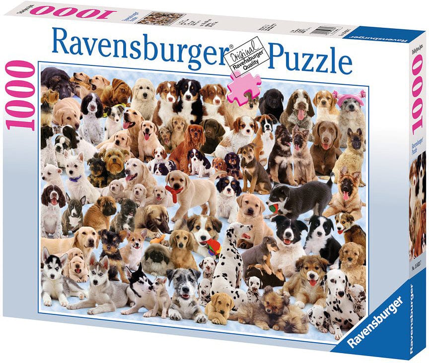 Dogs Galore! - Image 8