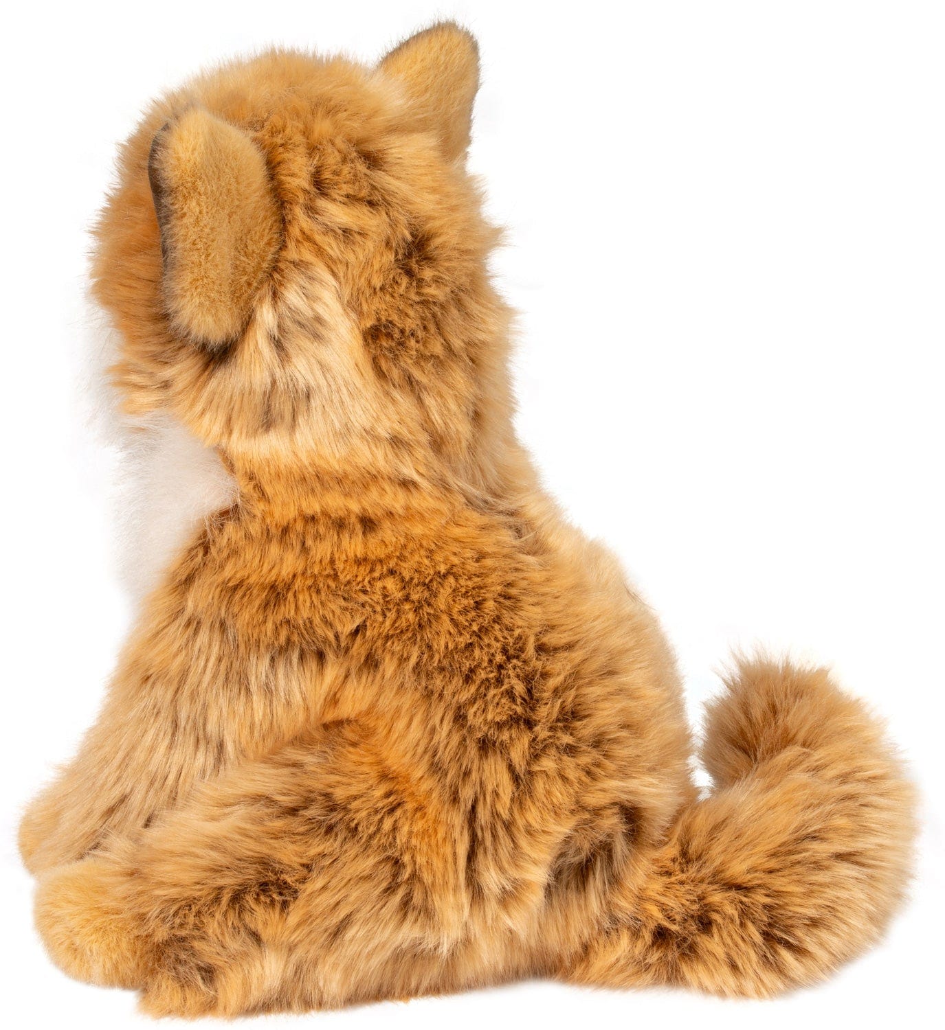 Dove Pomsky - Image 4