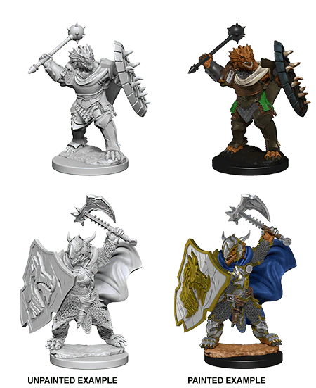 Dragonborn Male Paladin