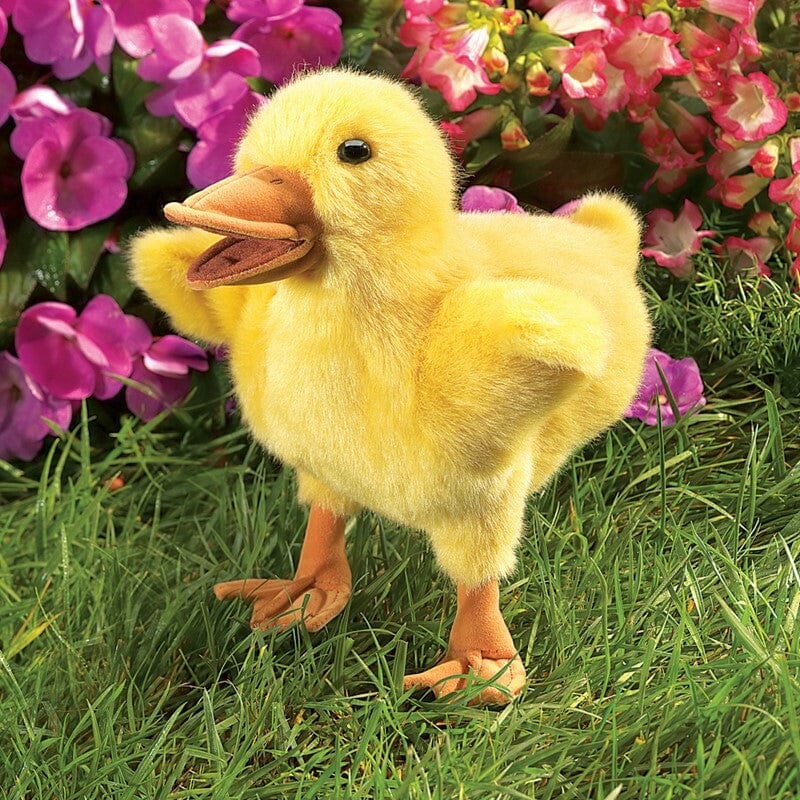 Duckling - Image 3
