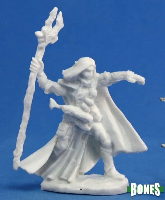 Elquin High Elf Adventurer - Image 2
