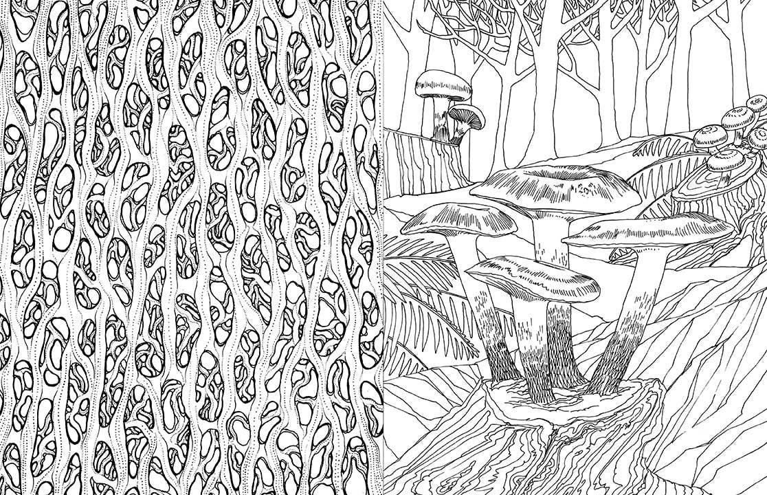 Fantastic Fungi: The Coloring Book - Image 2