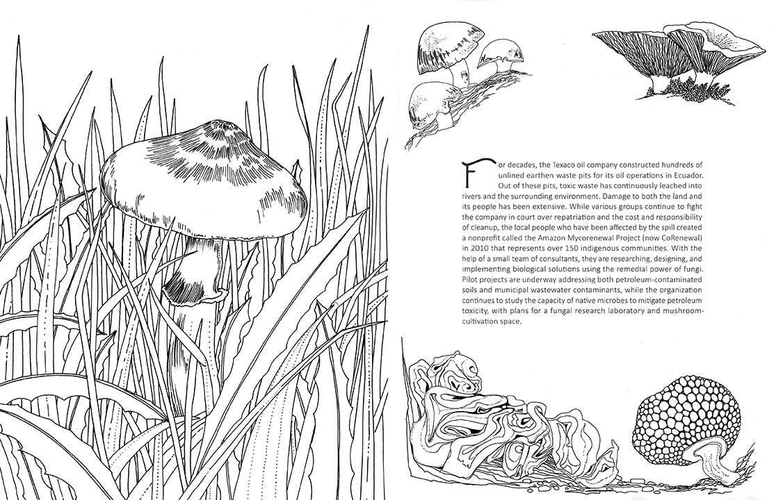 Fantastic Fungi: The Coloring Book - Image 5