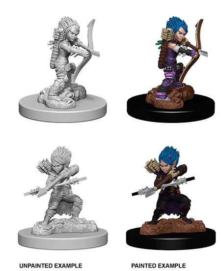 Female Gnome Rogue