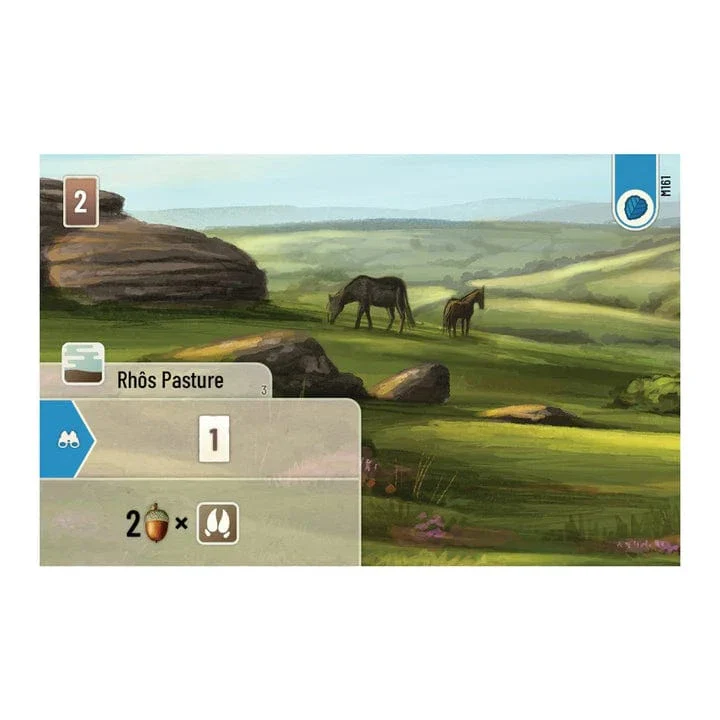 Forest Shuffle: Dartmoor