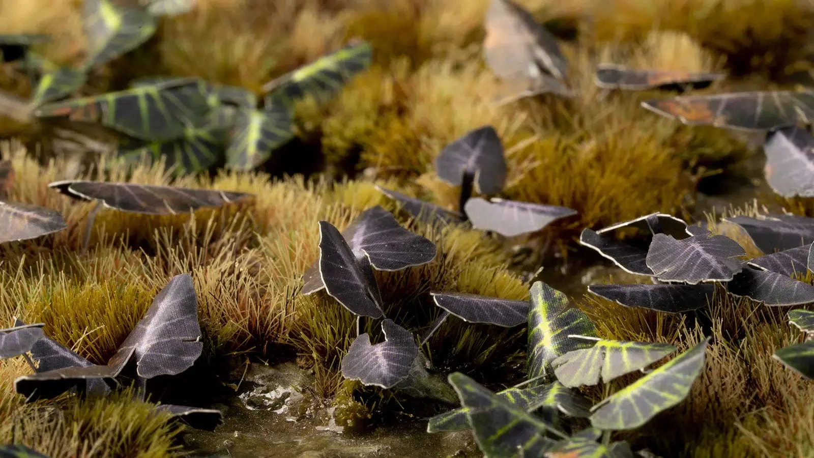 Gamers Grass Black Magic Taro - Image 2