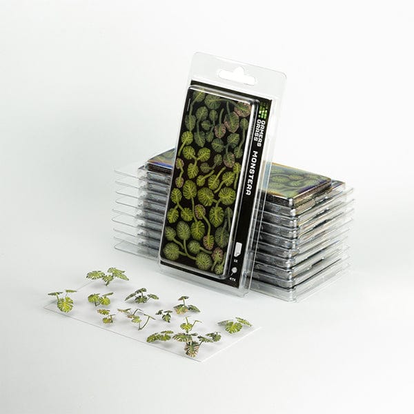 Gamers Grass Monstera