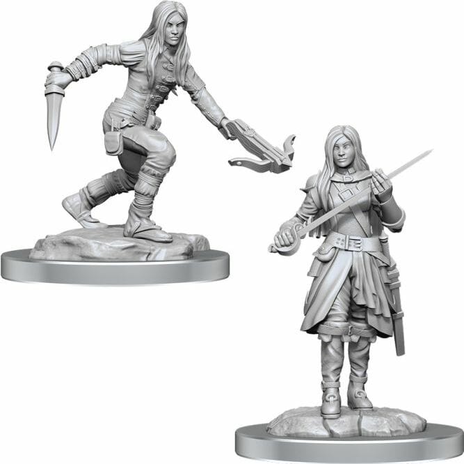 Half-Elf Rogues - Image 2