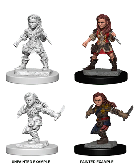 Female Halfling Rogue
