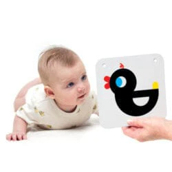 High Contrast Baby Cards - Image 4