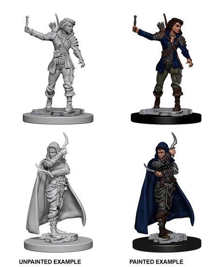 Female Human Rogue