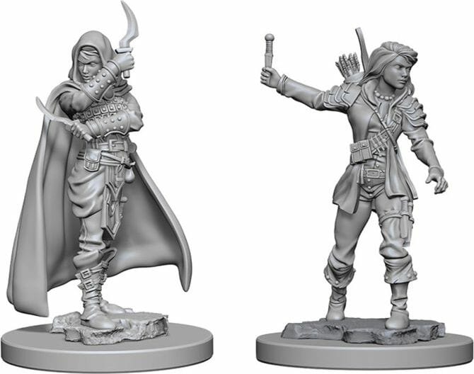 Female Human Rogue - Image 3