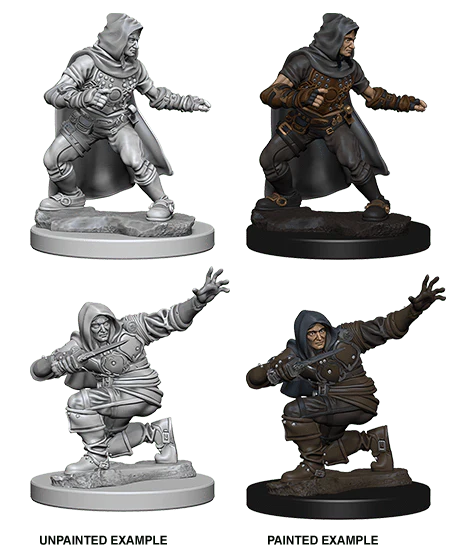 Male Human Rogue