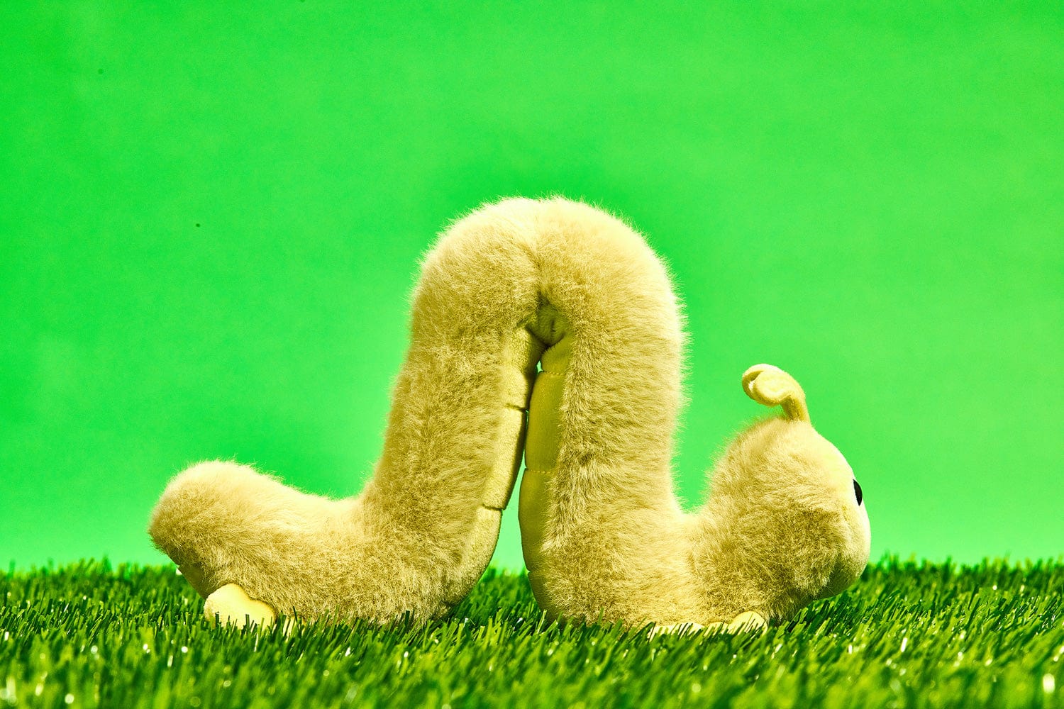 Inchy Inchworm - Image 3
