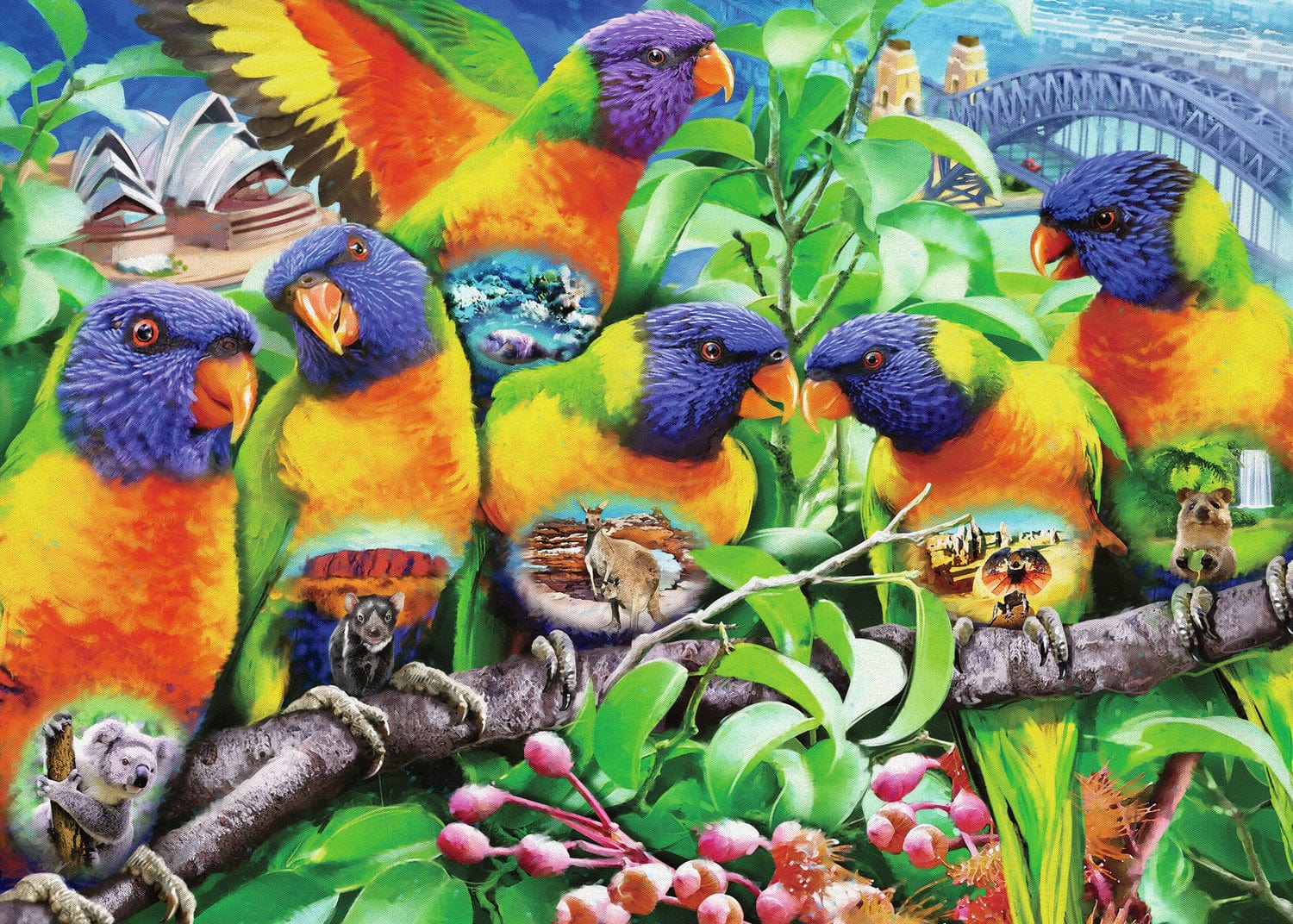 Land of the Lorikeet - Image 2