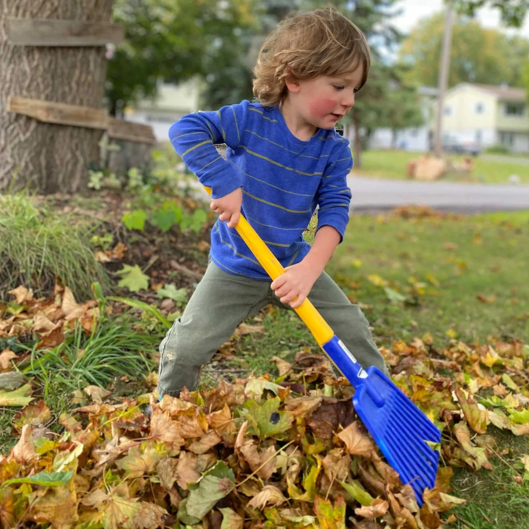 Leaf Rake - Image 2