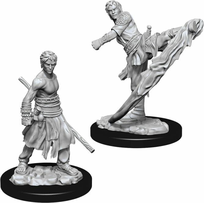 Male Half-Elf Monk - Image 2