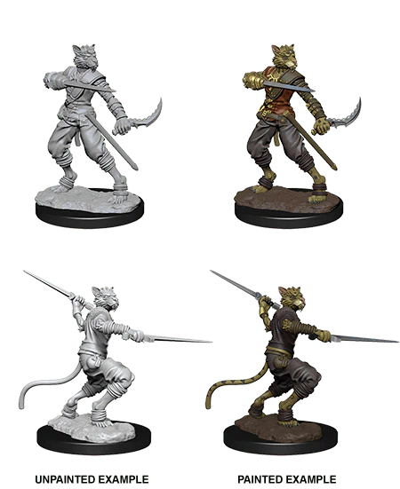 Male Tabaxi Rogue