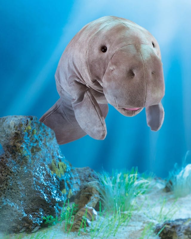 Manatee - Image 4