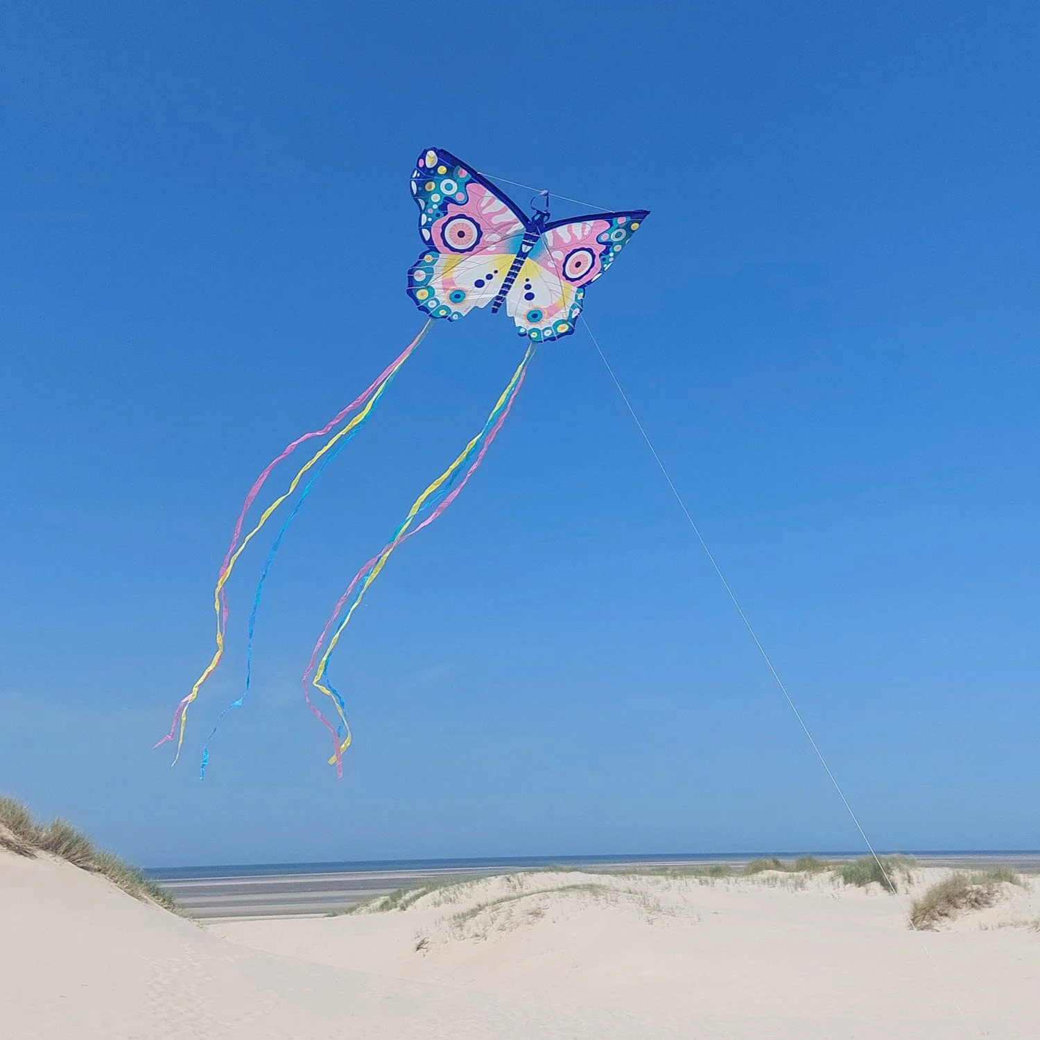 Maxi Butterfly Kite - Image 4