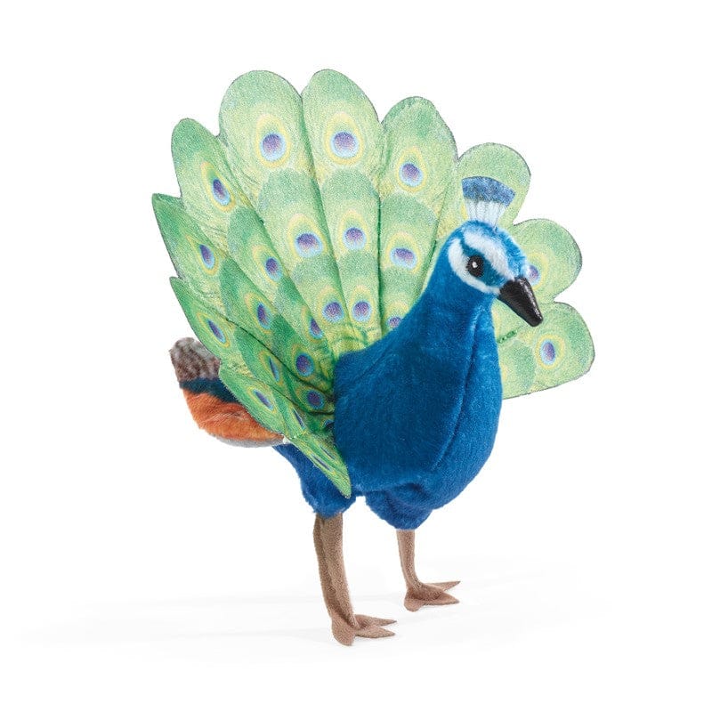 Mini Peacock - Image 2
