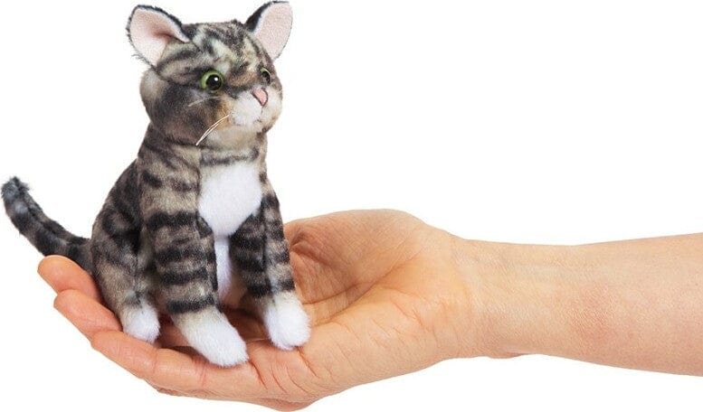 Mini Tabby Cat - Image 2