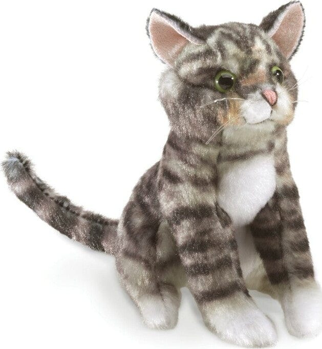 Mini Tabby Cat - Image 3