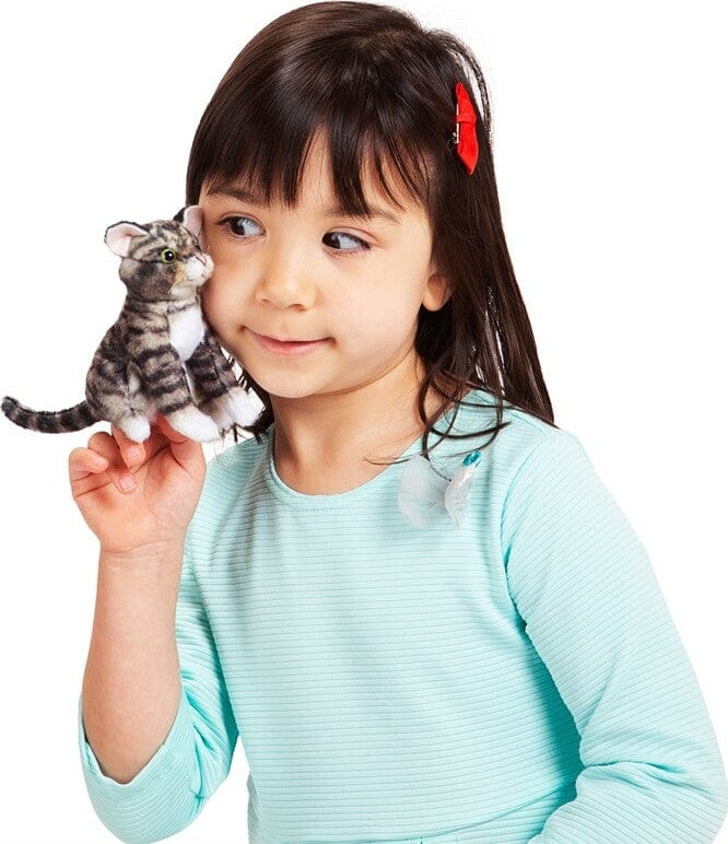 Mini Tabby Cat - Image 4