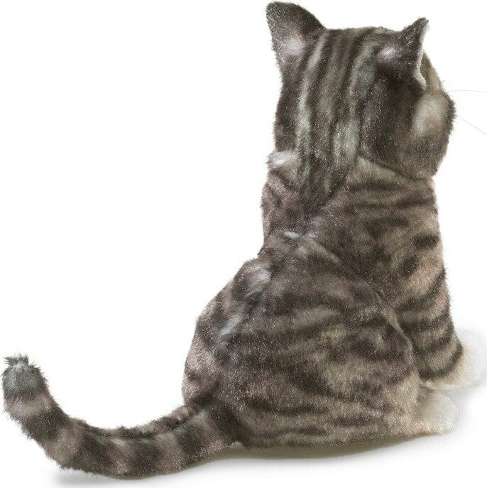 Mini Tabby Cat - Image 5