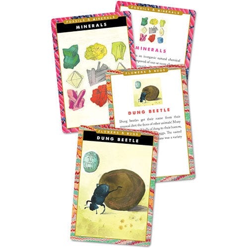 Earth Science Flash Cards - Image 5