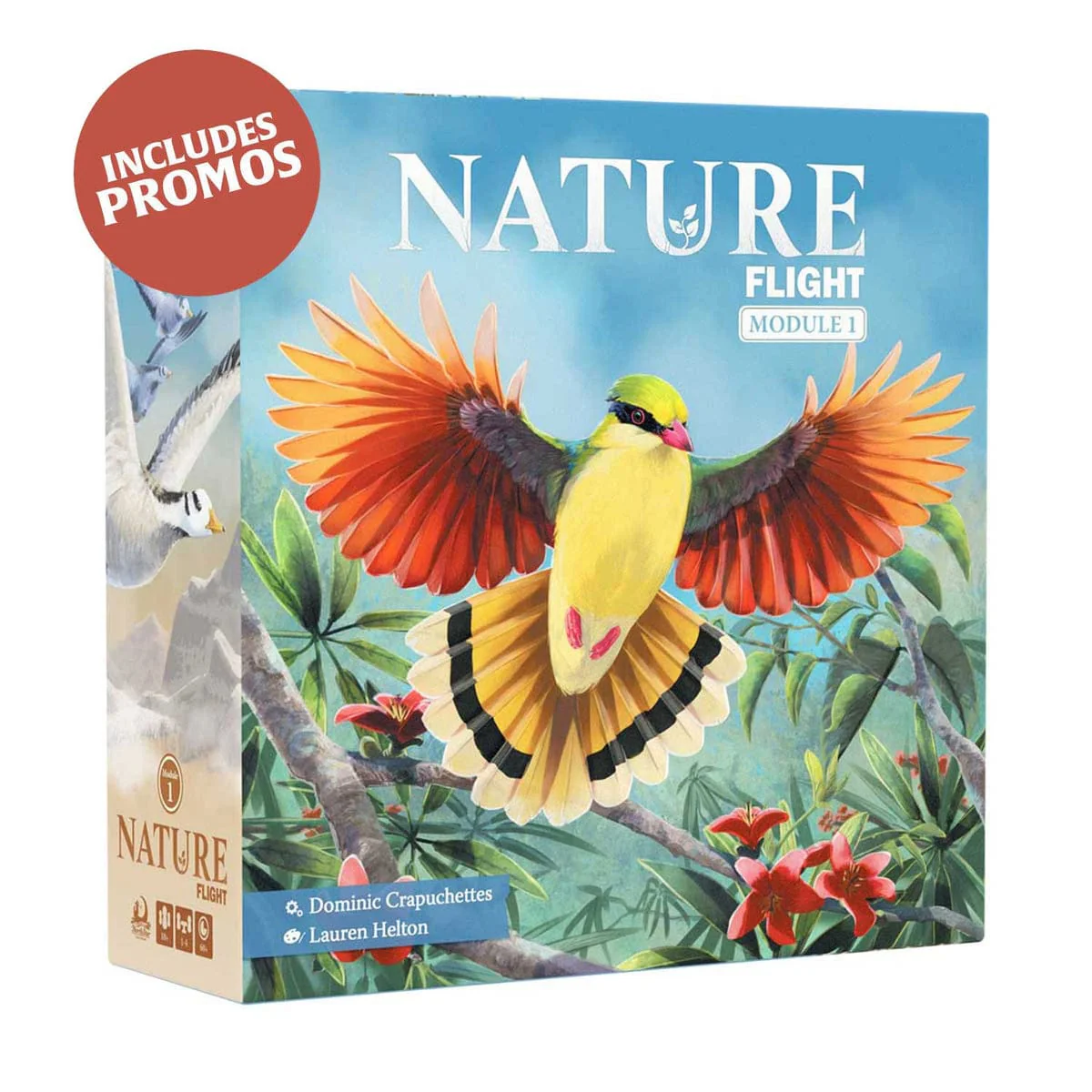 Nature Module 1: Flight