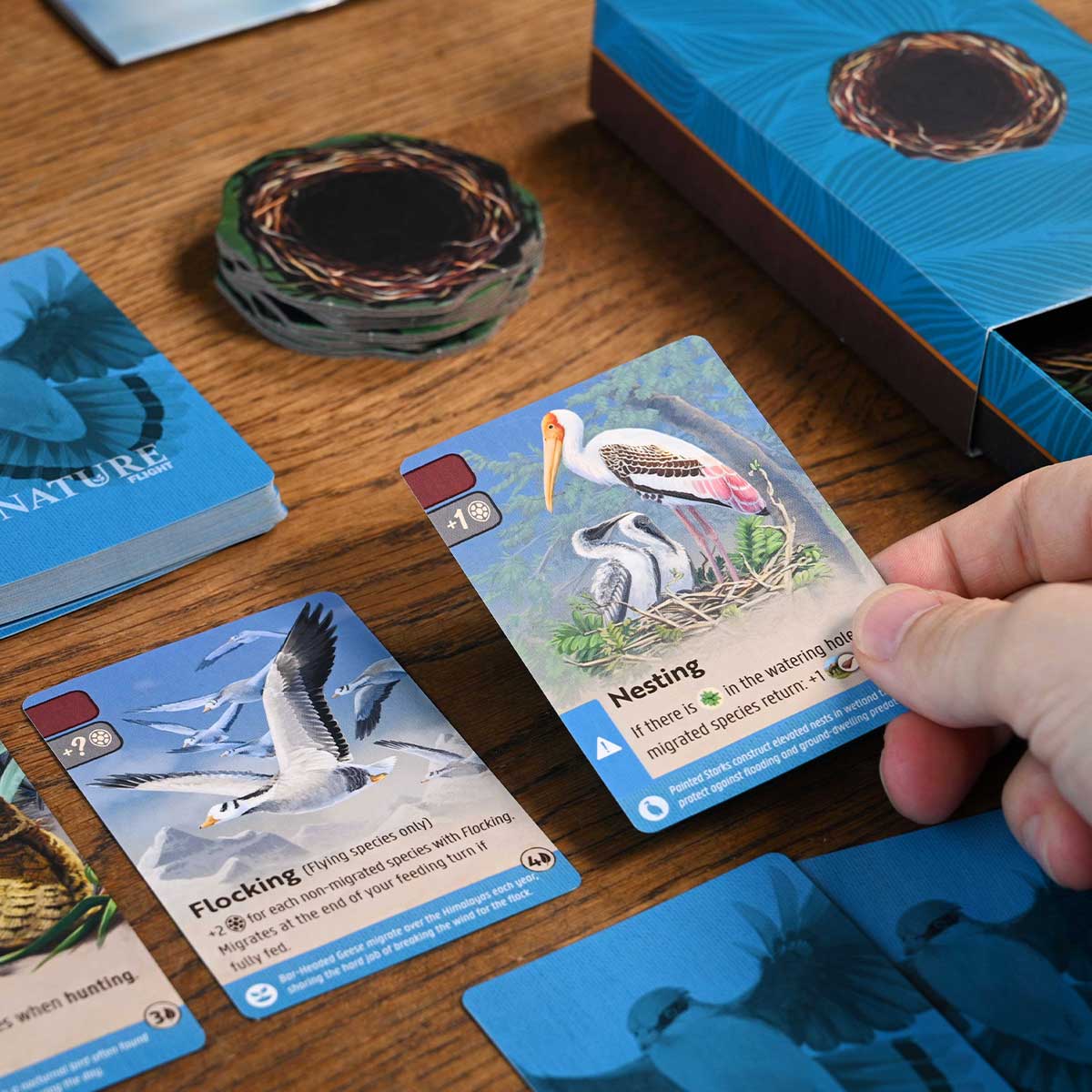 Nature Module 1: Flight - Image 3