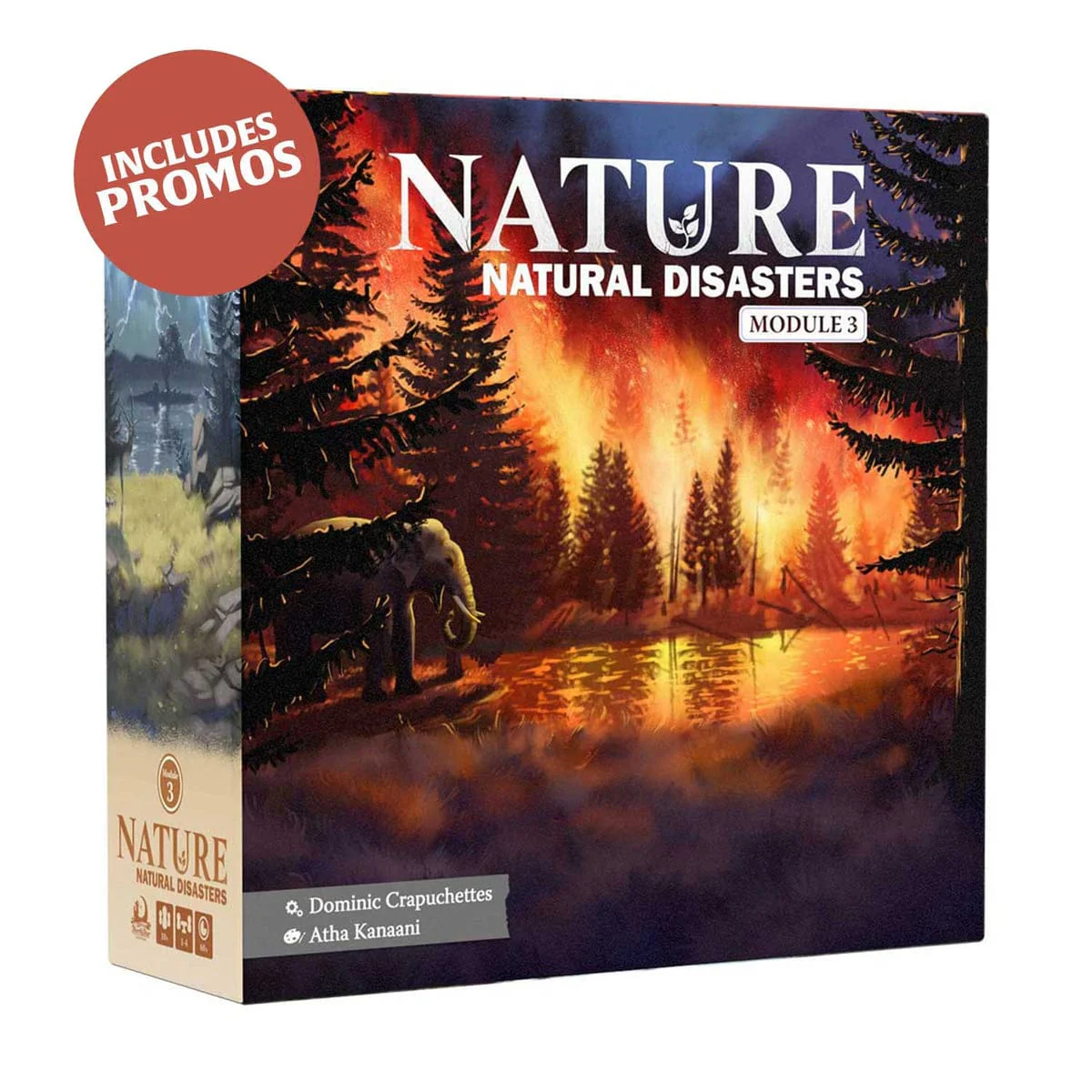 Nature Module 3: Natural Disasters