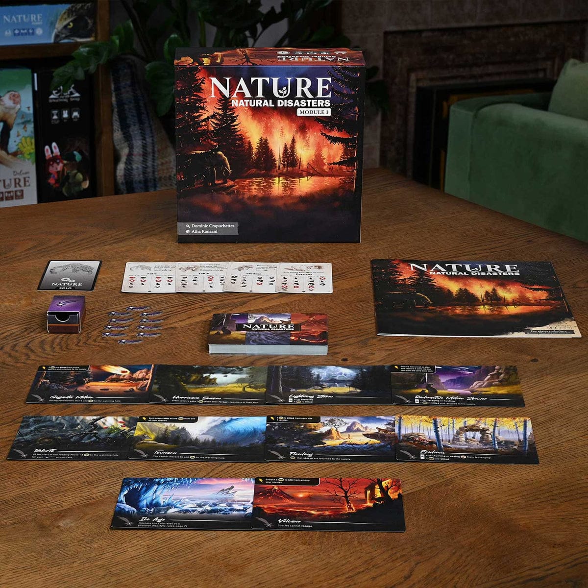 Nature Module 3: Natural Disasters - Image 4