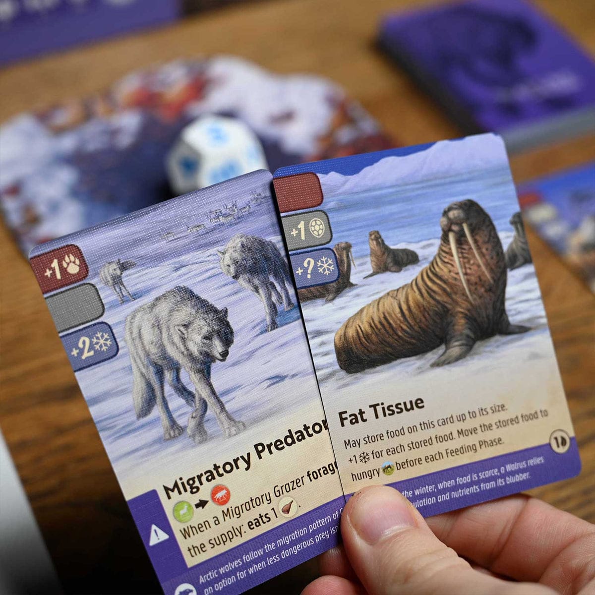 Nature Module 4: Arctic Tundra - Image 2