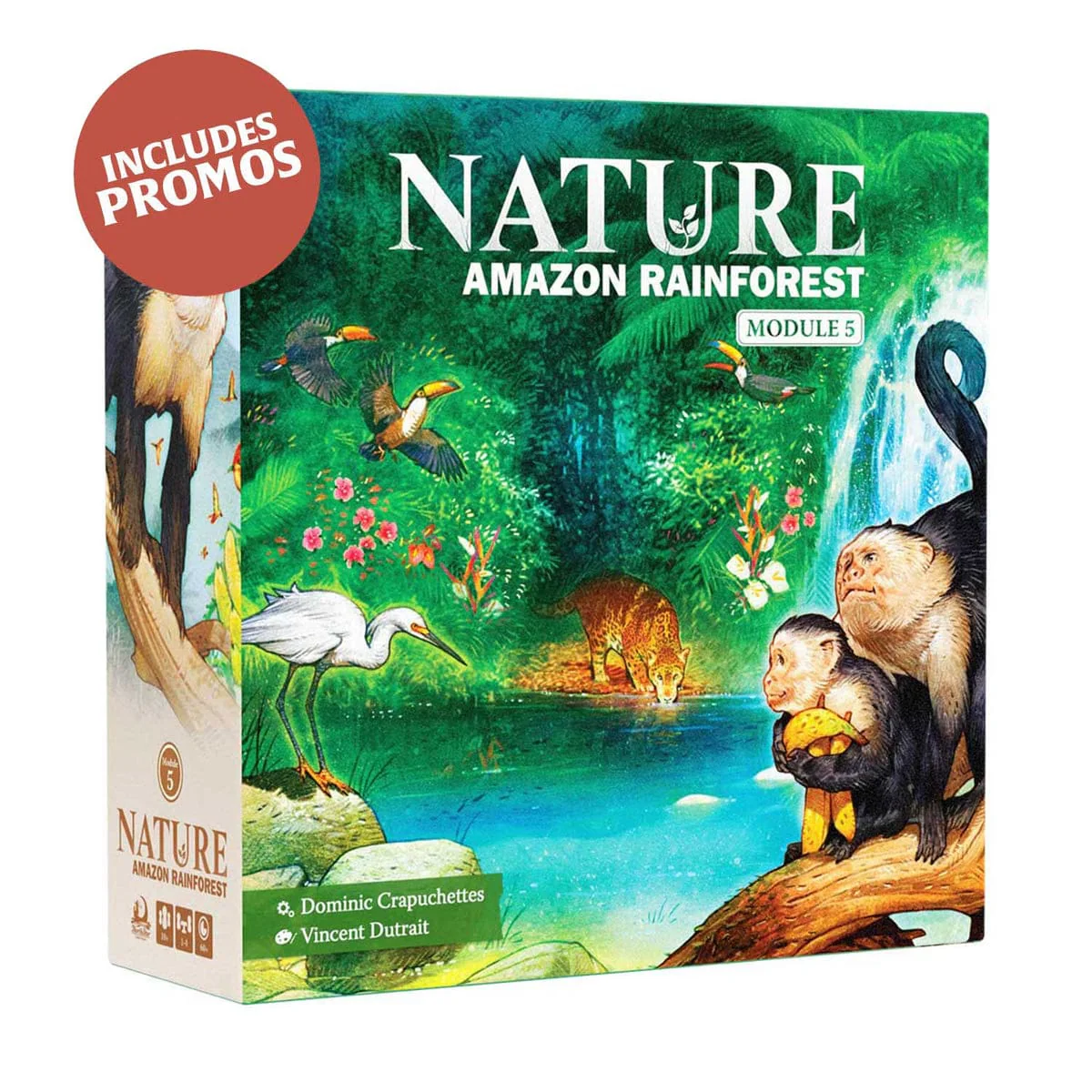 Nature Module 5: Amazon Rainforest