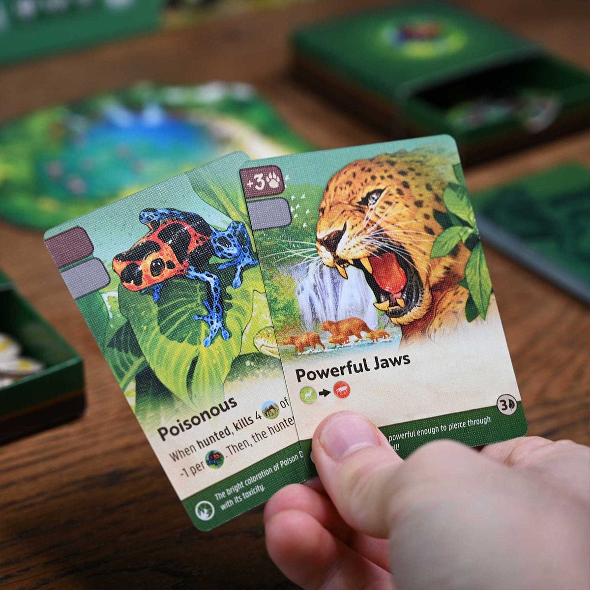 Nature Module 5: Amazon Rainforest - Image 2