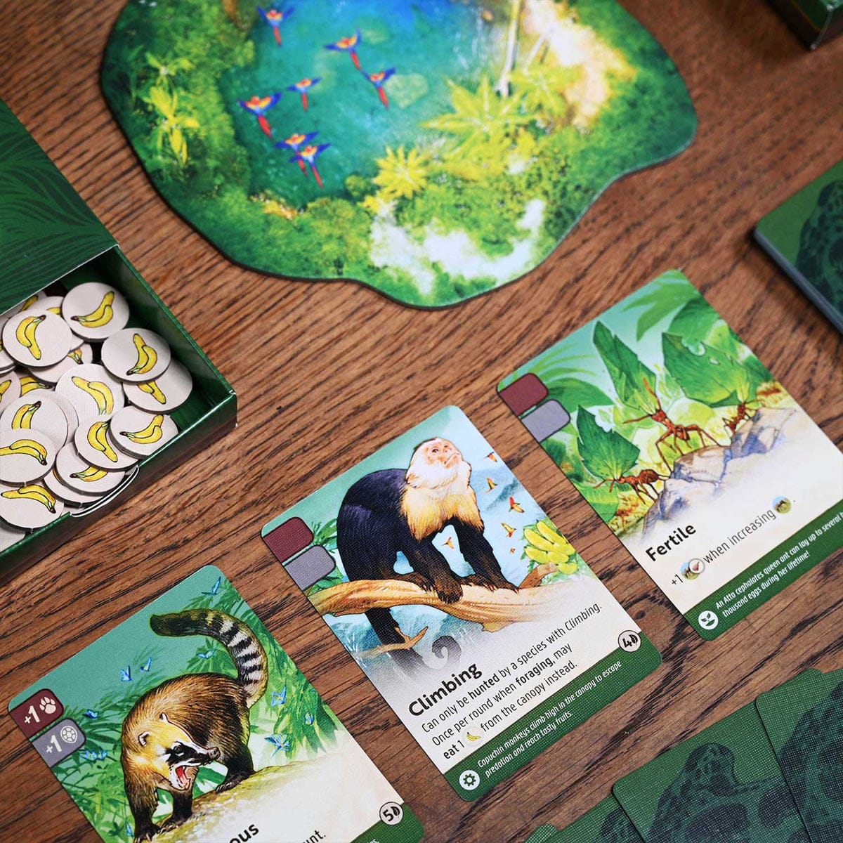 Nature Module 5: Amazon Rainforest - Image 3