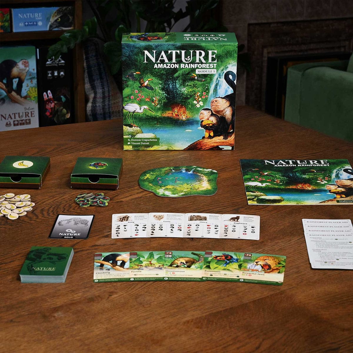 Nature Module 5: Amazon Rainforest - Image 4