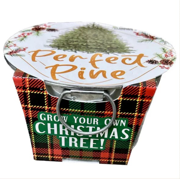 Perfect Pine - Image 2