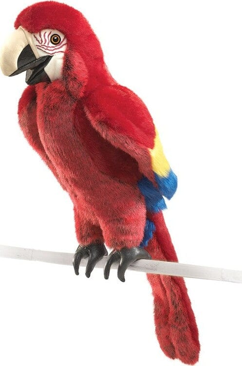 Scarlet Macaw - Image 2