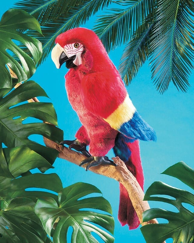 Scarlet Macaw - Image 3