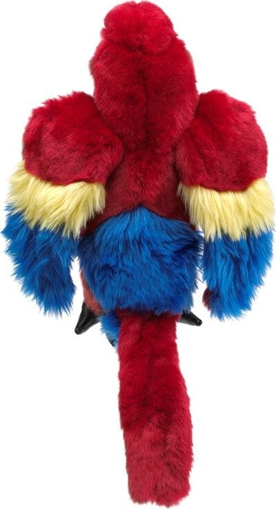 Scarlet Macaw - Image 4